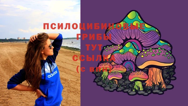 дурь Волоколамск